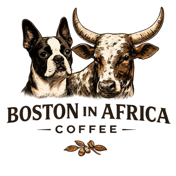 Boston in Africa Coffee
