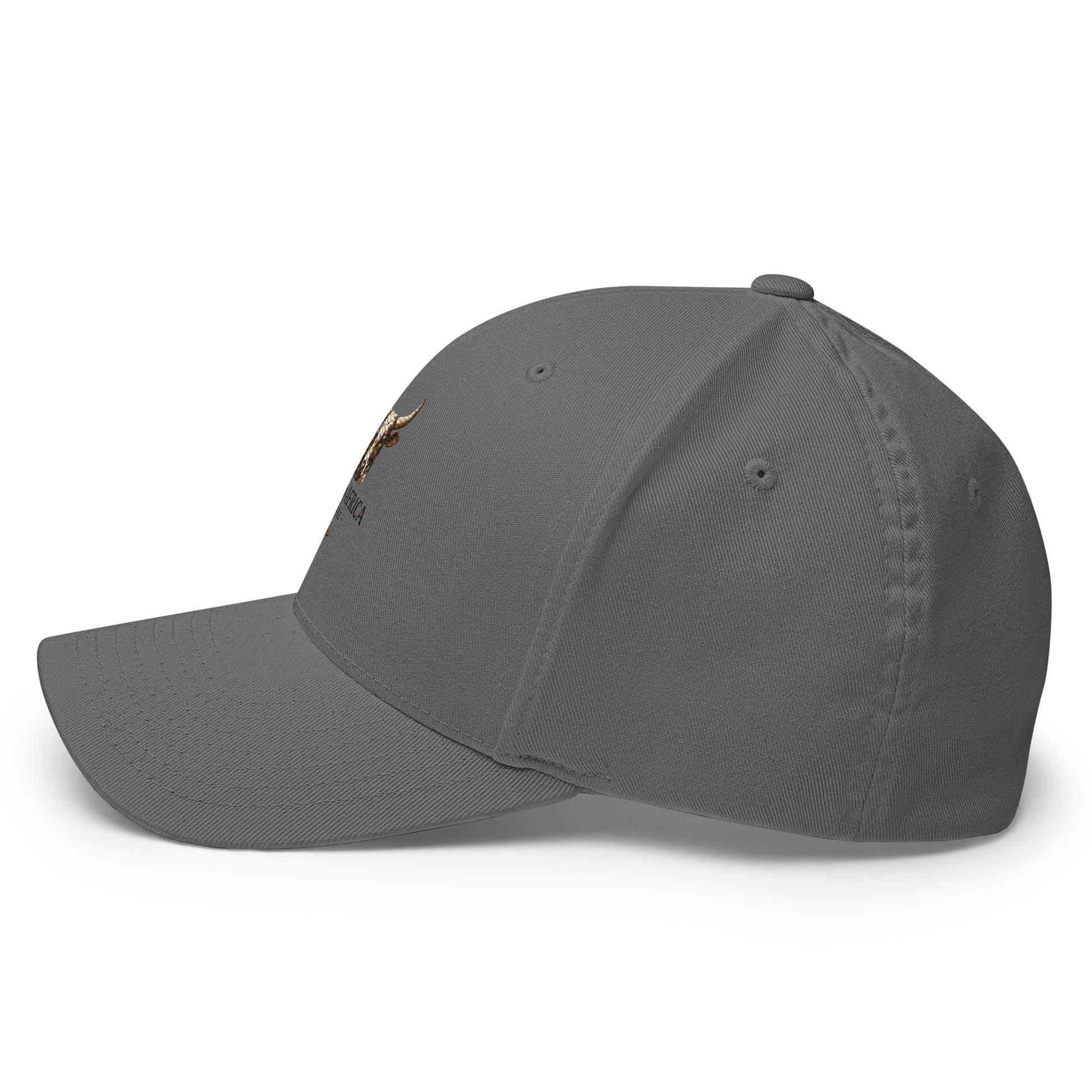 Gray structured twill cap with embroidered Boston in Africa Coffee logo, shown from the left side with a closed back.
