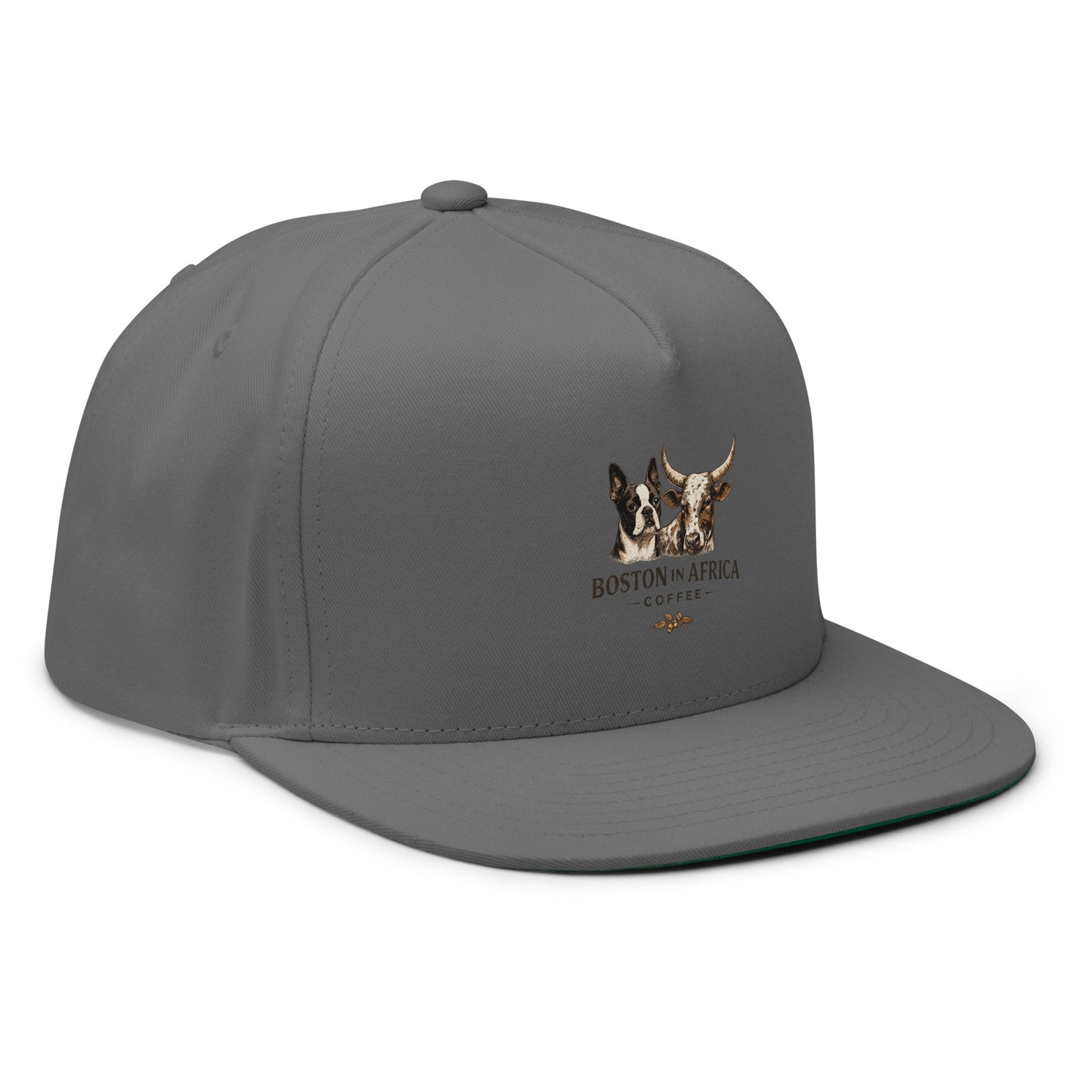 Gray embroidered flat bill cap by Boston in Africa Coffee, showing front and right side details.