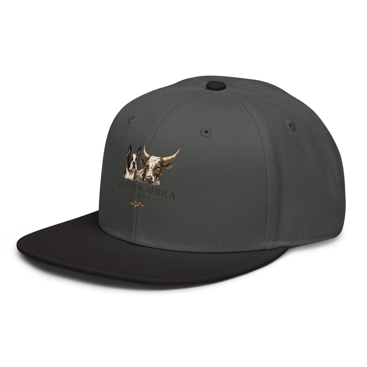 Black and charcoal gray embroidered snapback hat by Boston in Africa Coffee, showing front and side view.