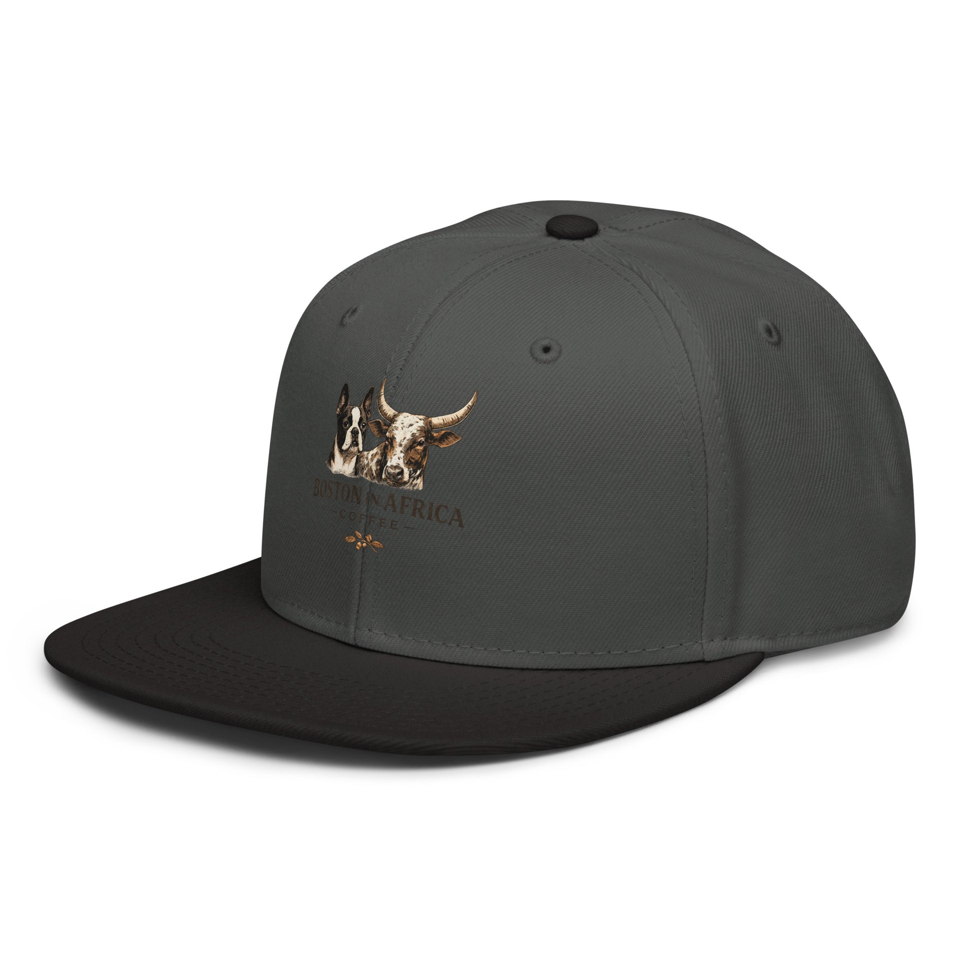 Black and charcoal gray embroidered snapback hat by Boston in Africa Coffee, showing front and side view.