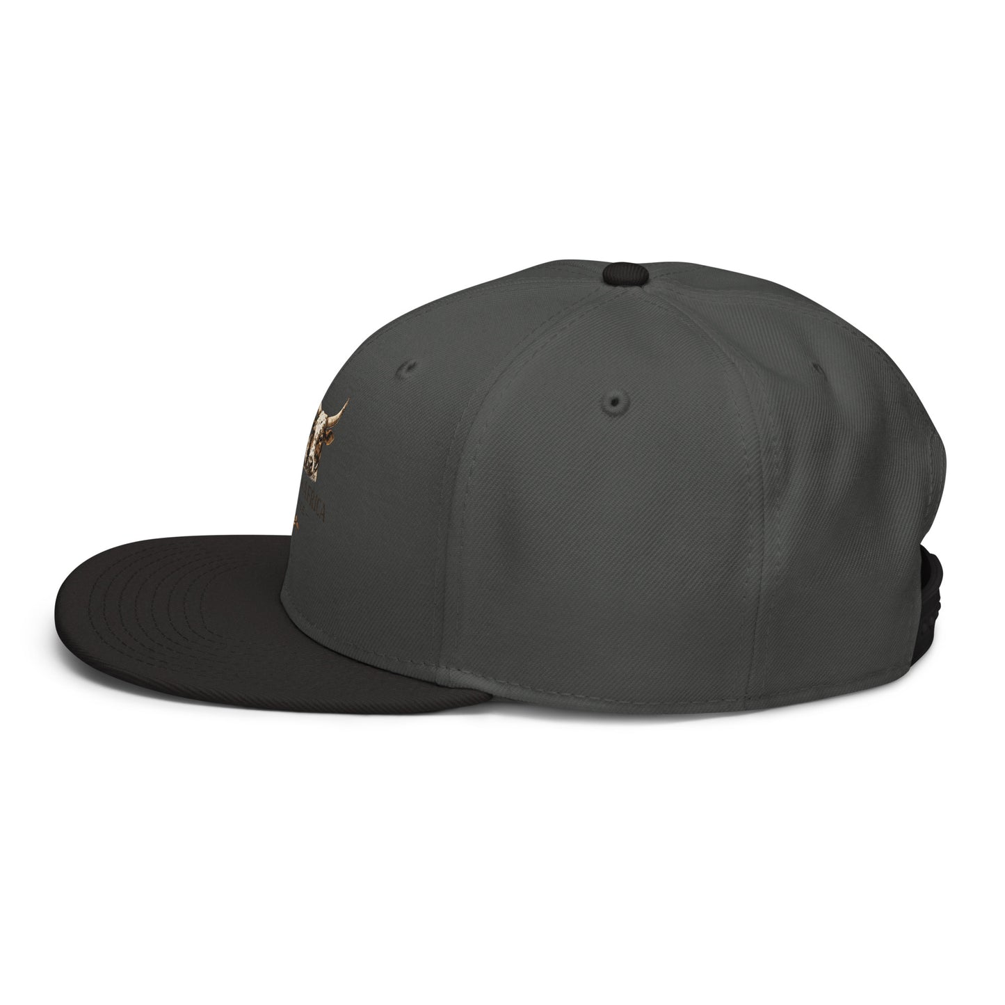 Black and charcoal gray Boston in Africa Coffee snapback hat with embroidered design, shown from the left side.