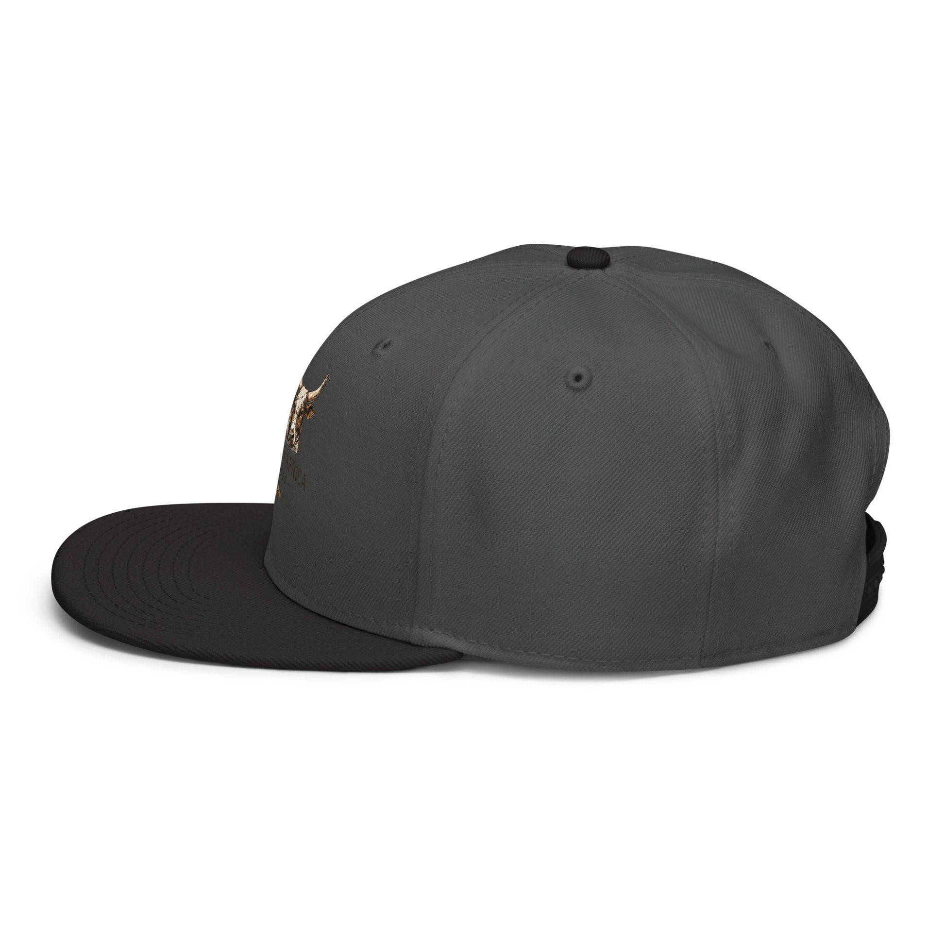 Black and charcoal gray Boston in Africa Coffee snapback hat with embroidered design, shown from the left side.