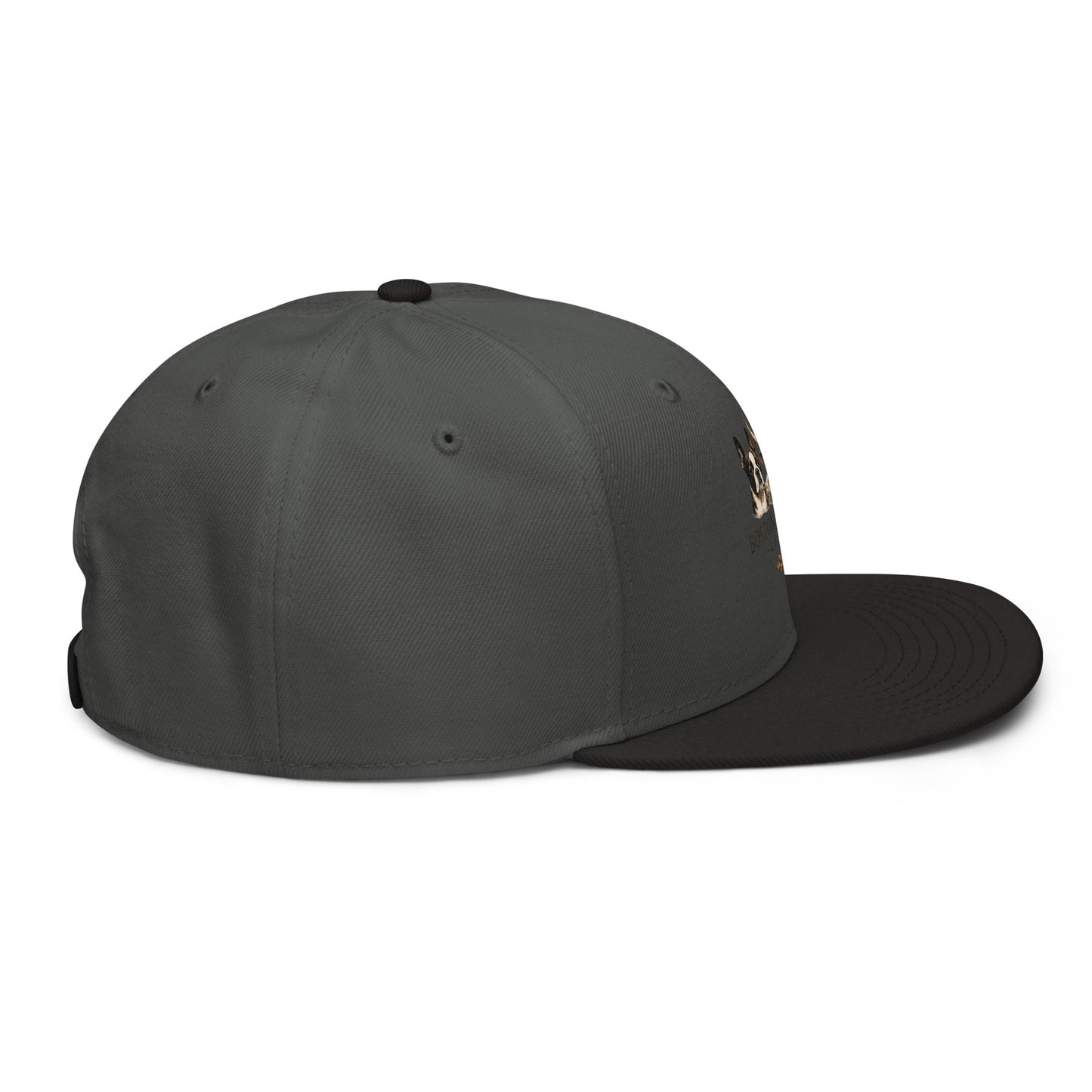 Black and charcoal gray embroidered snapback hat by Boston in Africa Coffee, showing the right side view.